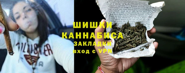 прущий лед Богданович