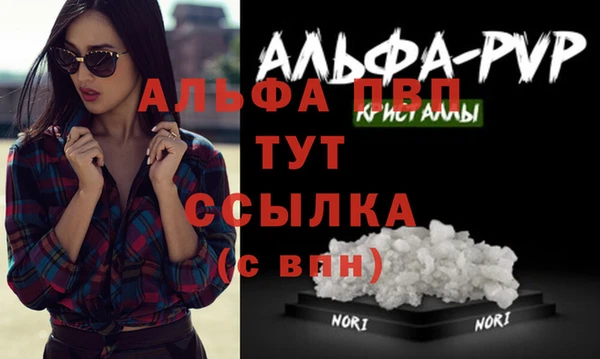 стафф Богородицк