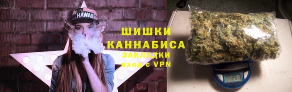 стафф Богородицк