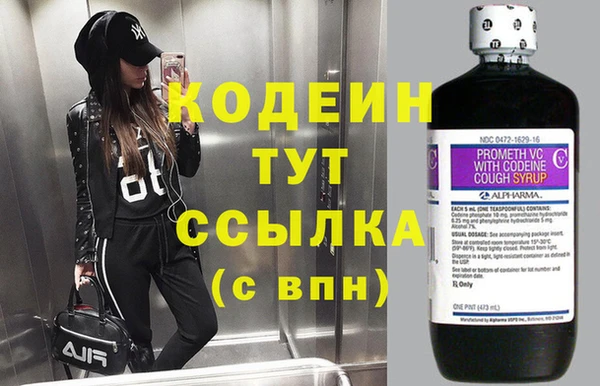 прущий лед Богданович