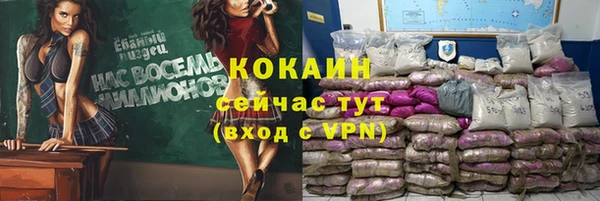 прущий лед Богданович