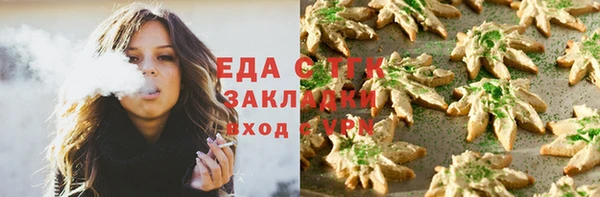 прущий лед Богданович