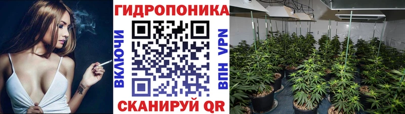 Марихуана конопля Колпашево